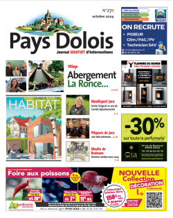 Pays Dolois n°271