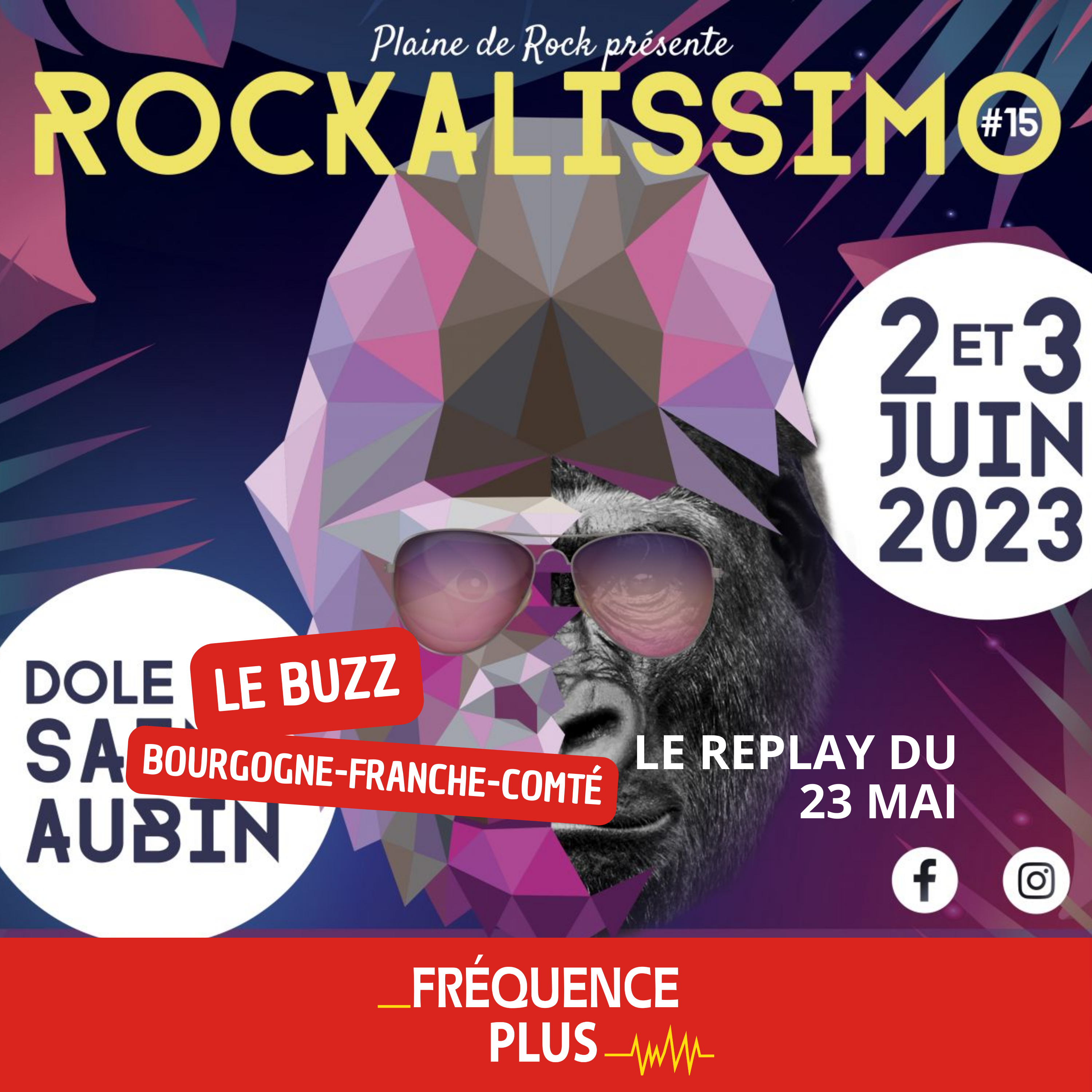 Le Buzz du 23 mai, notre invité, Daniel Bravo (TRYO)