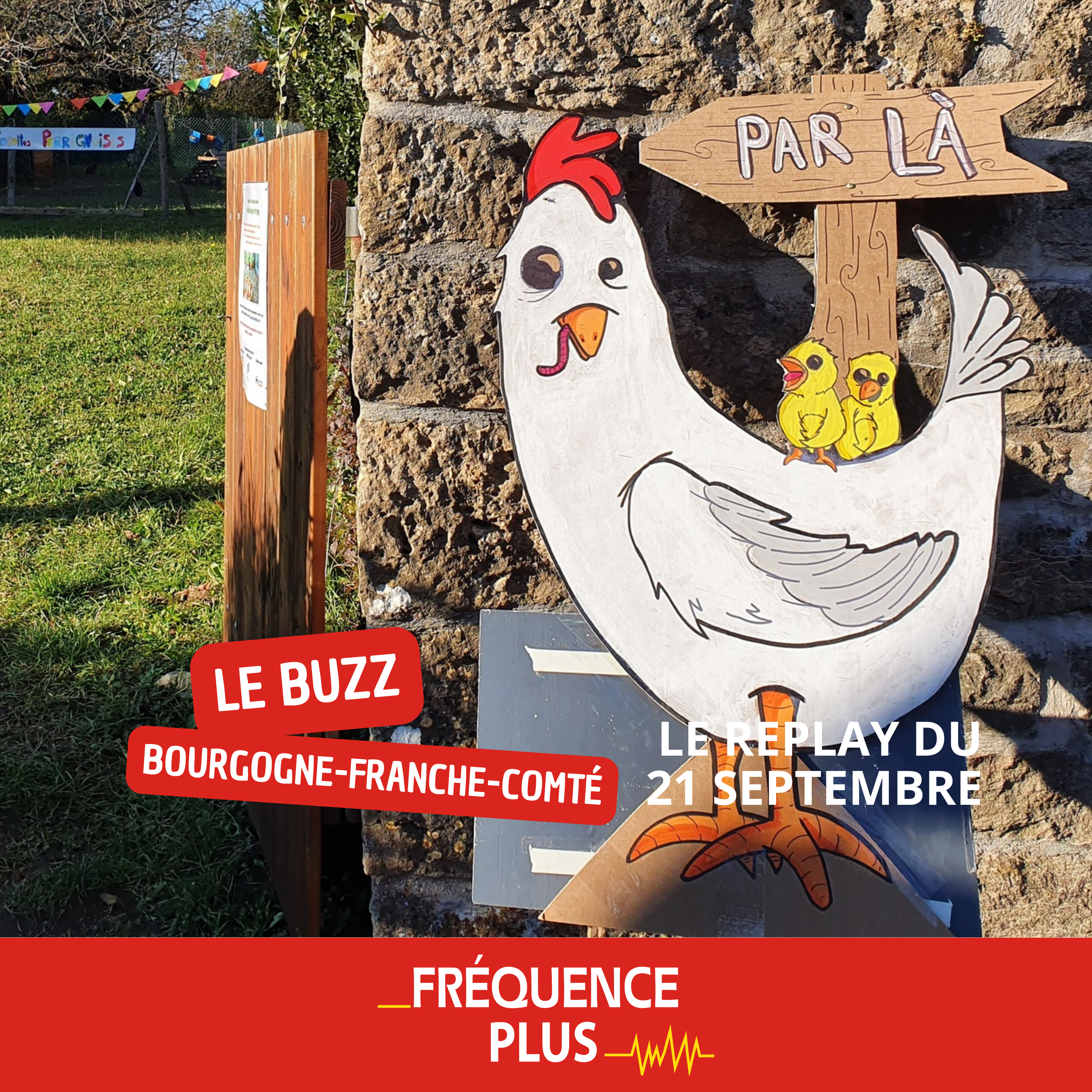 Le Buzz du 21 Septembre, notre invitée, Amandine Laurent
