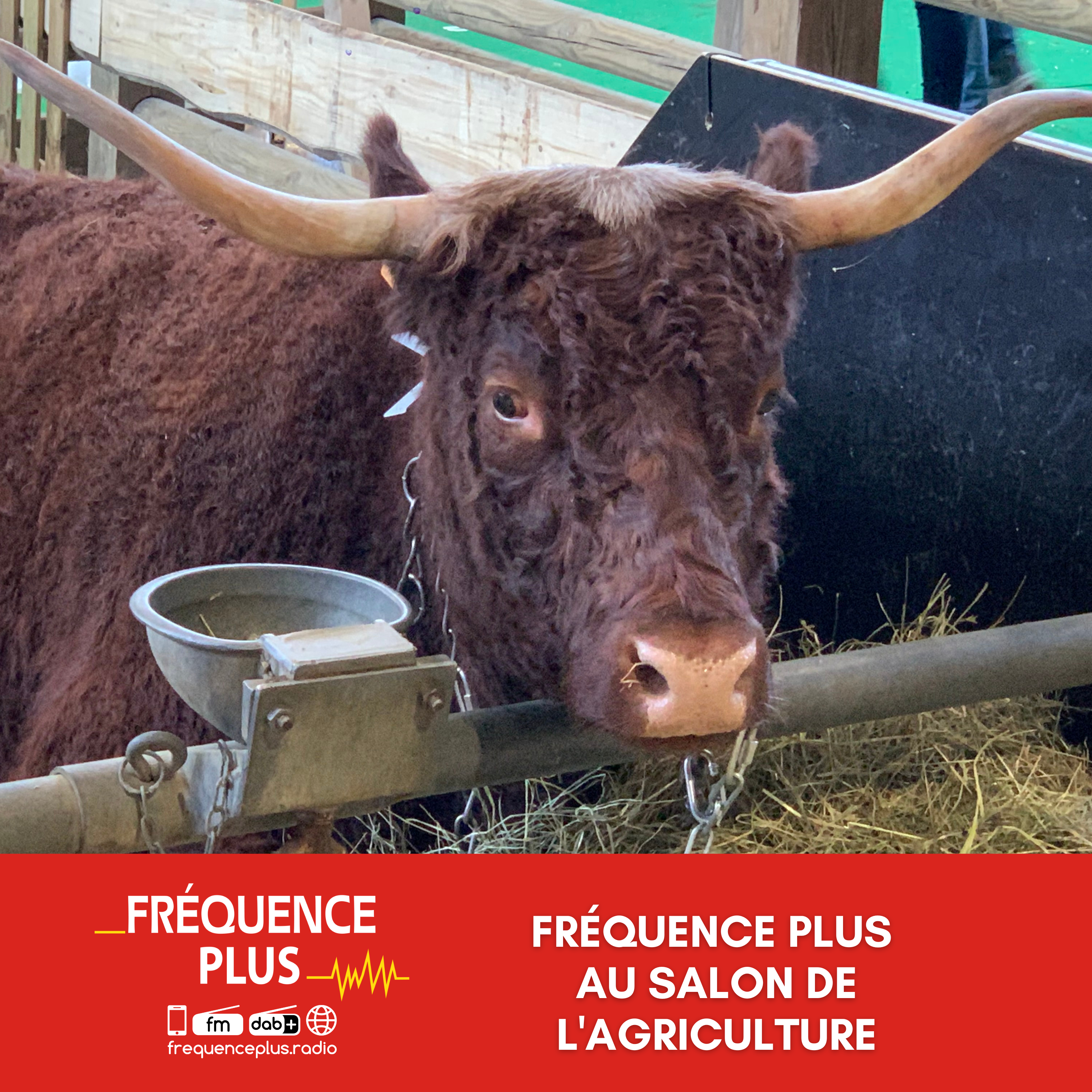 Fréquence Plus au Salon de l'Agriculture : rencontre avec l'éleveur de la vache OVALIE, l'égérie du salon episode artwork
