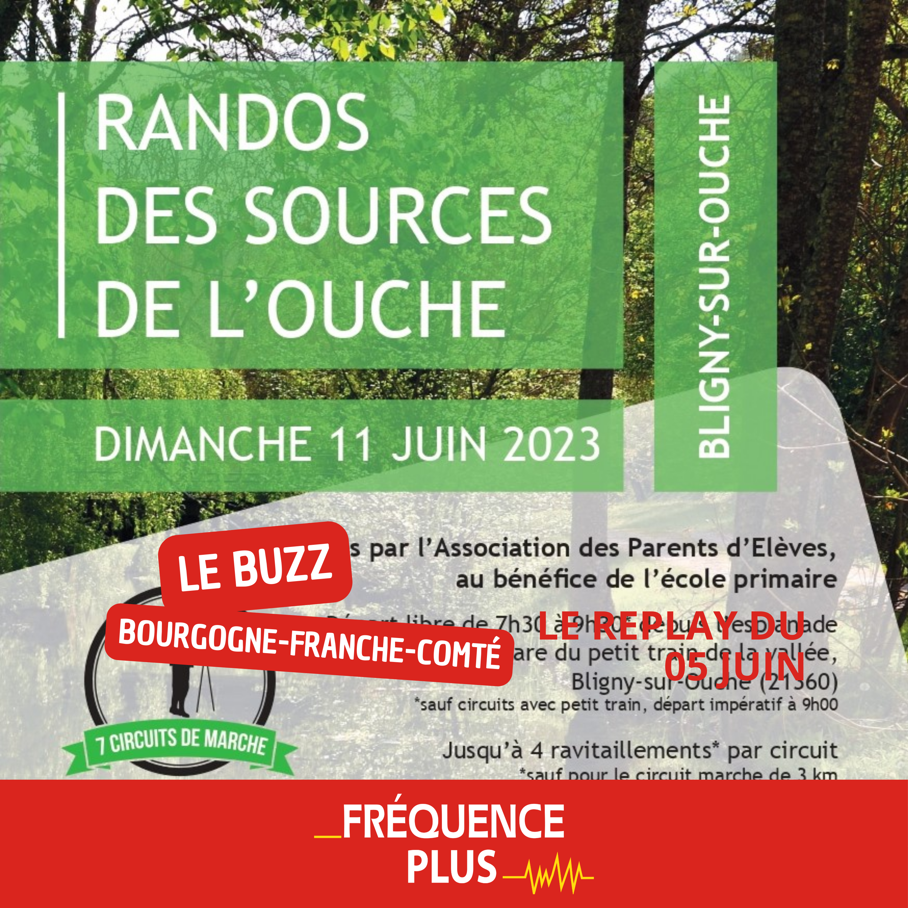 Le Buzz du 5 juin, notre invitée, Stéphanie Bretigny