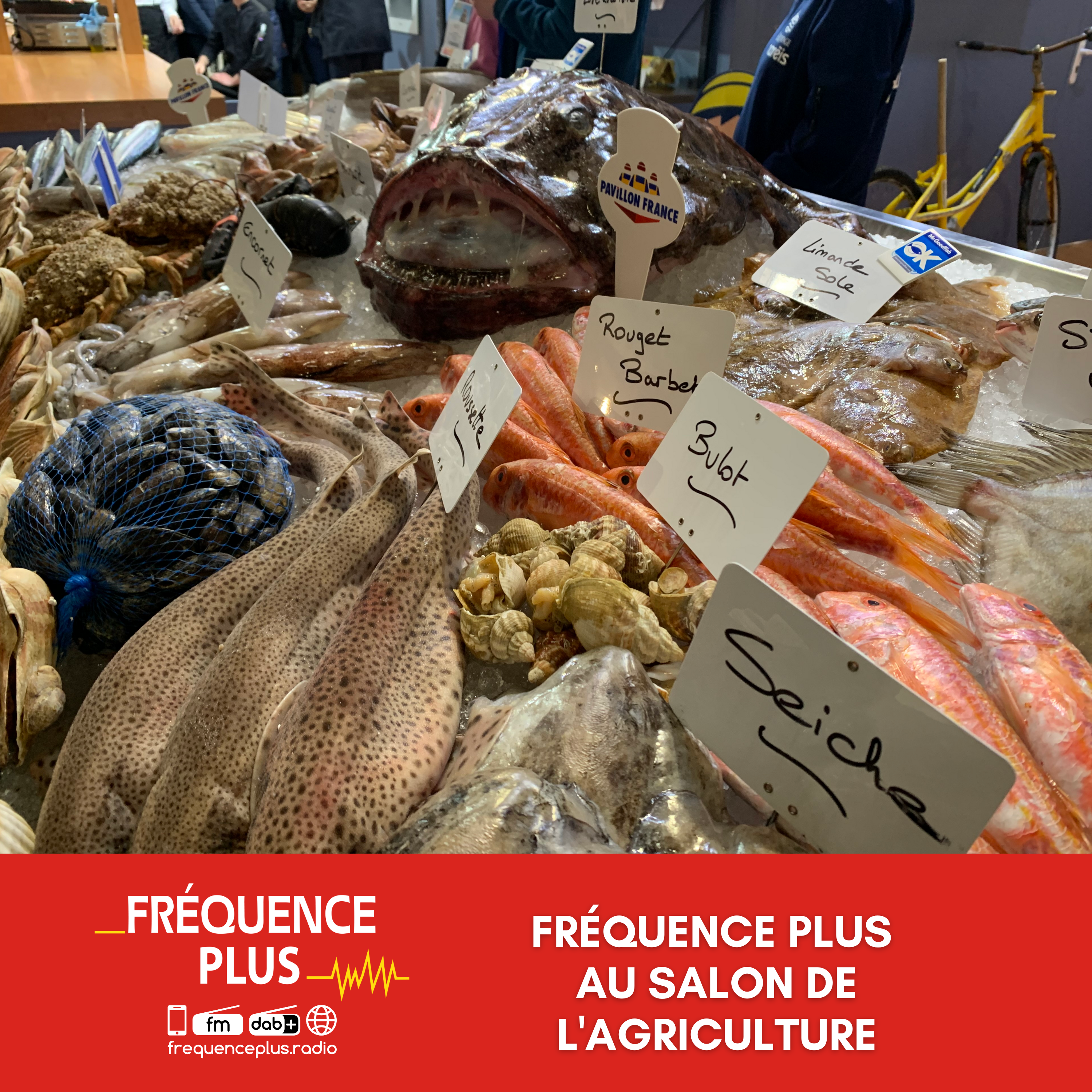 Fréquence Plus au Salon de l'Agriculture : une criée pour vendre aux enchères les poissons exposés sur le stand Bretagne episode artwork
